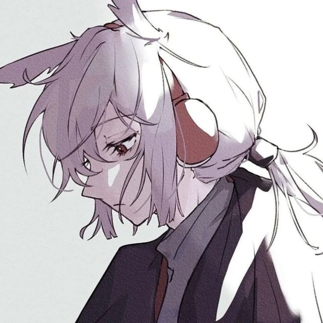 代鱼的小窝